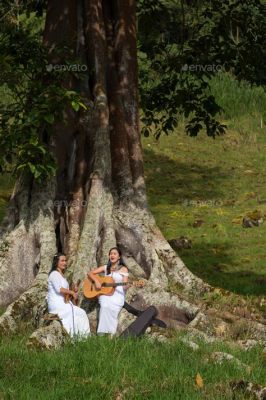 El Festival de Música Indígena: Un encuentro con las raíces ancestrales del arte en Italia